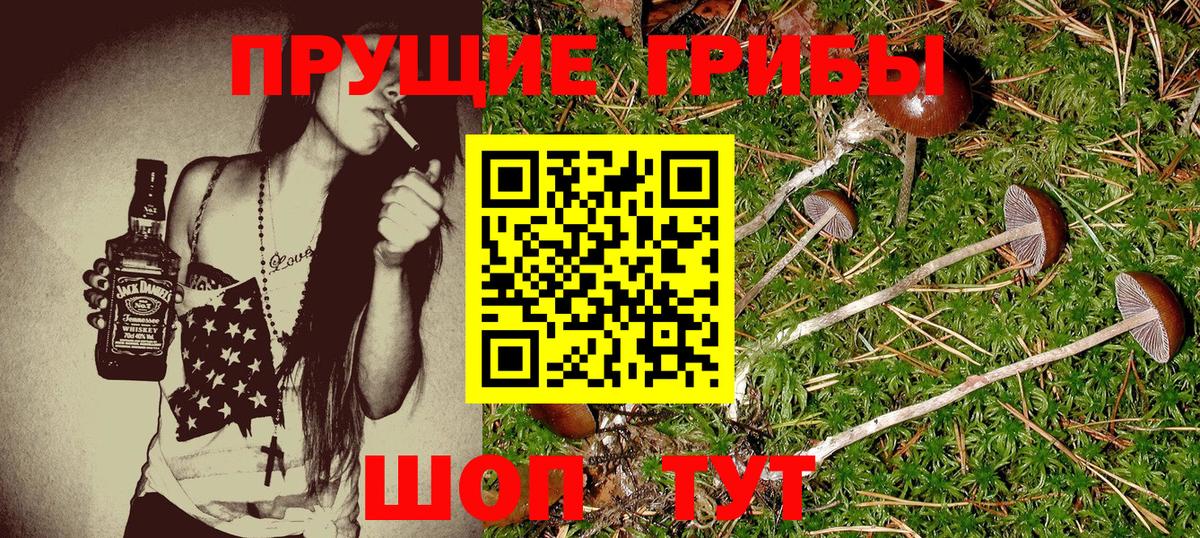 Нижний Тагил  купить закладку  Вход с VPN  Псилоцибиновые грибы ЛСД  Псилоцибиновые грибы ЛСД 